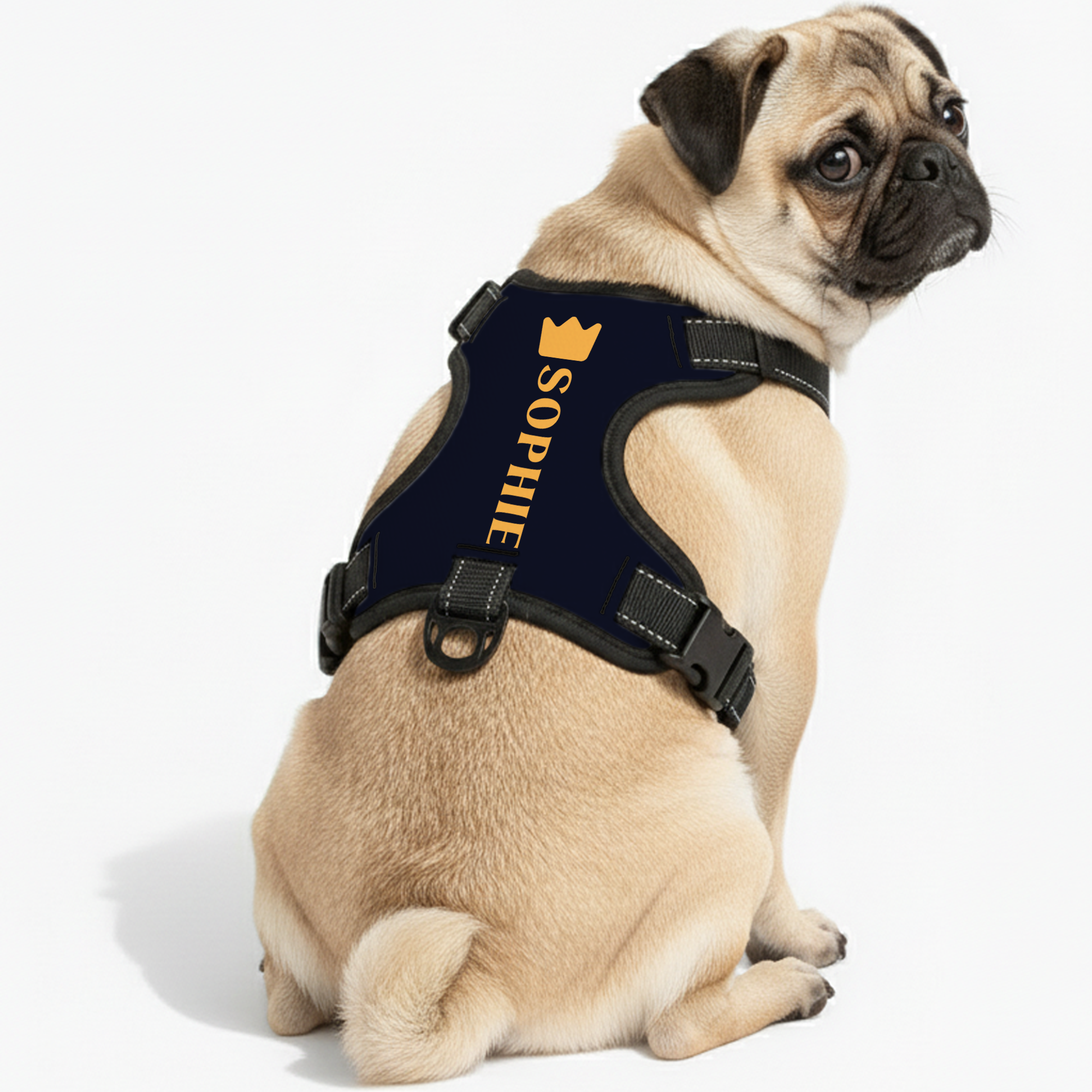 Rune - Custom Dog harness