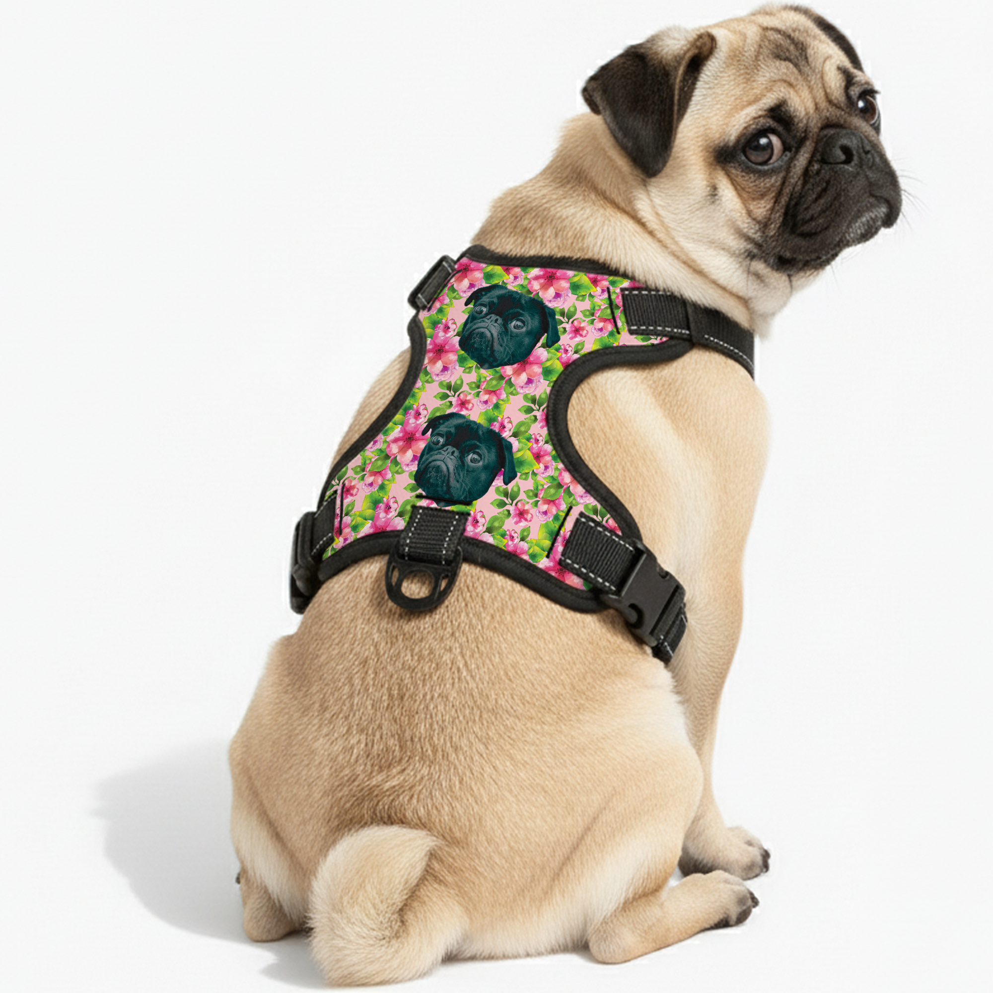 Haley - Custom Dog harness