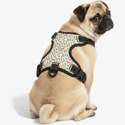 Sam - NO-PULL Dog Harness & Leash Set | for small and large Dogs