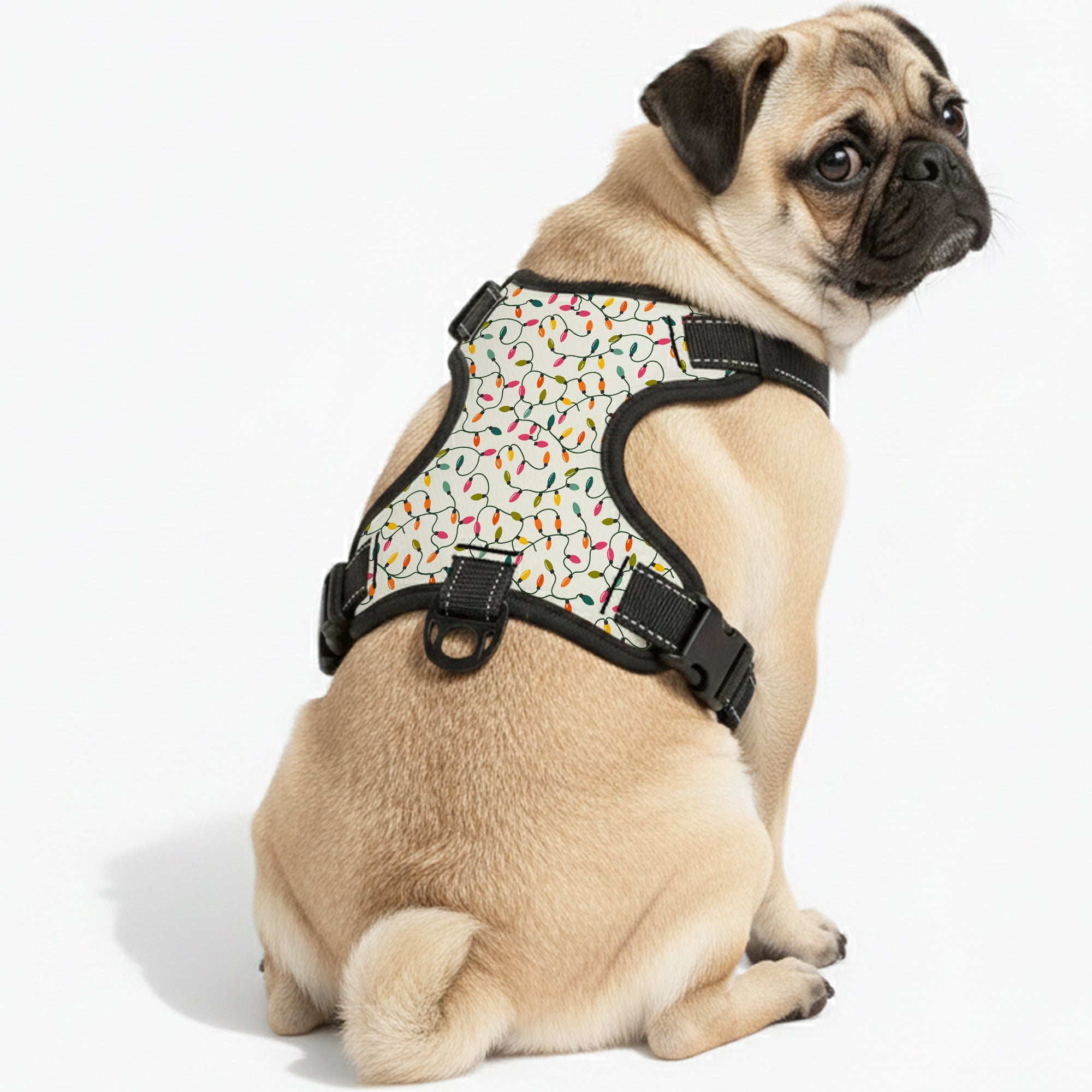 Sam - NO-PULL Dog Harness & Leash Set | for small and large Dogs