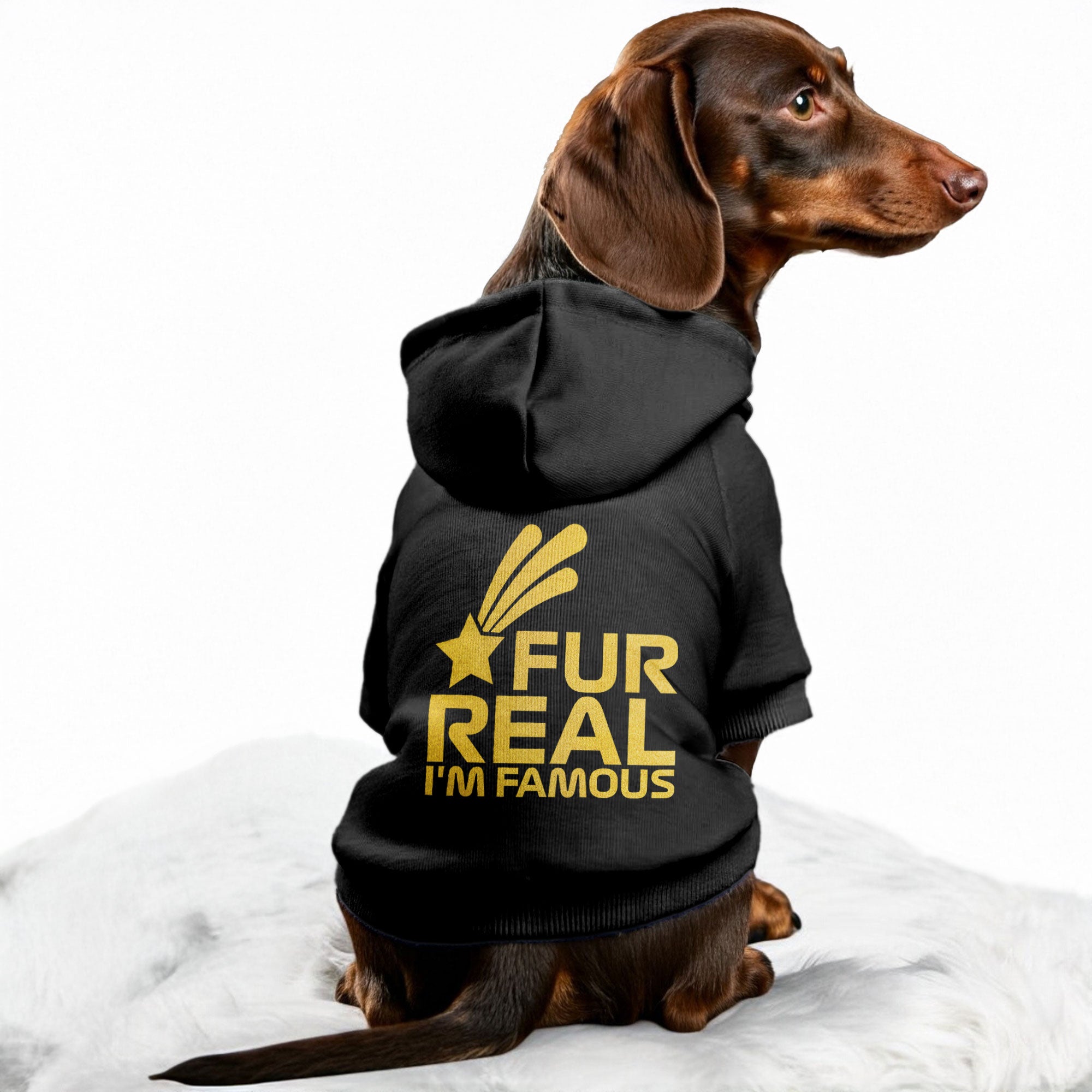Fur Real, Im Famous– Dog Hoodie – Dog Clothes
