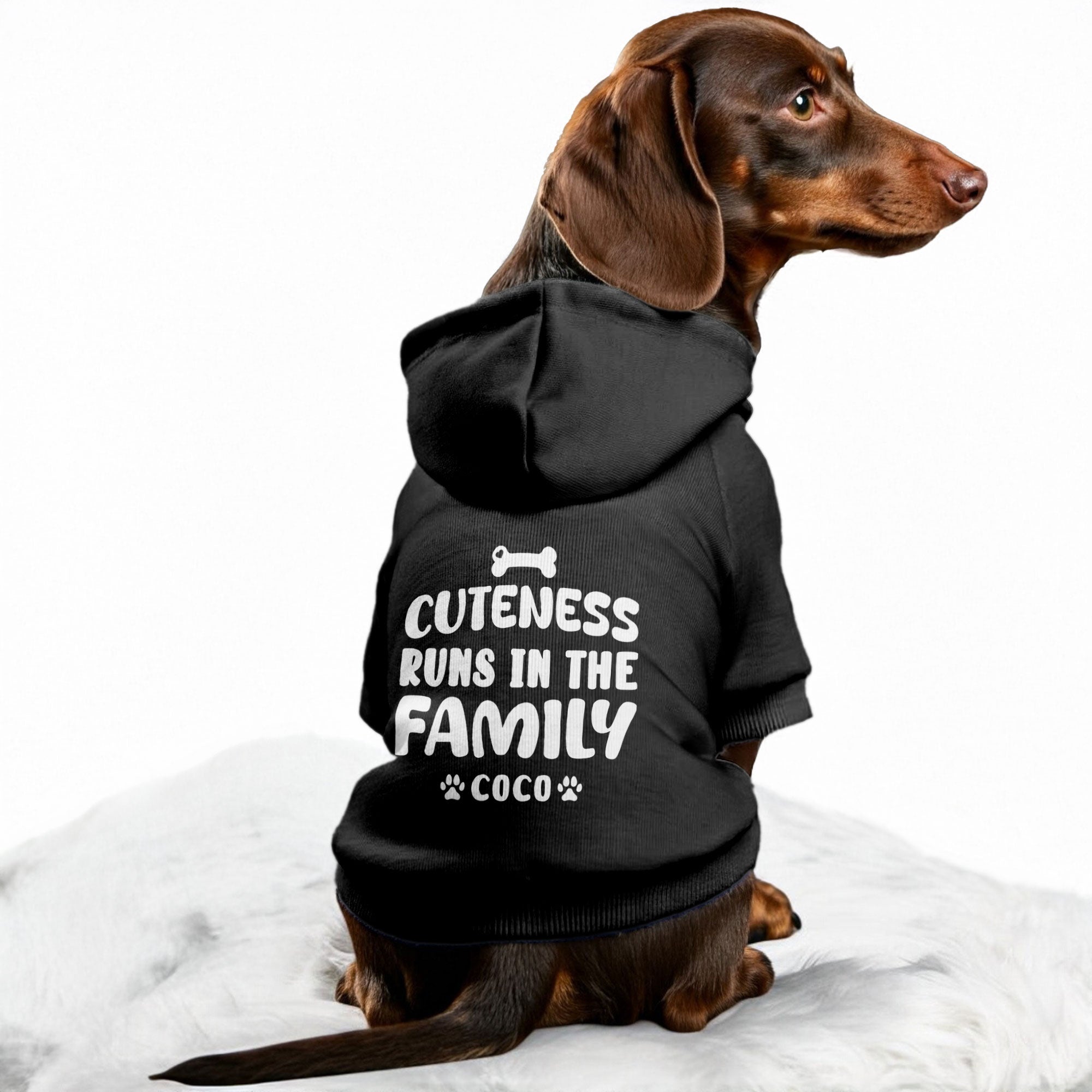 Cuteness Runs in the Family - personalized hoodie with your dog name – dog hoodie – dog clothes
