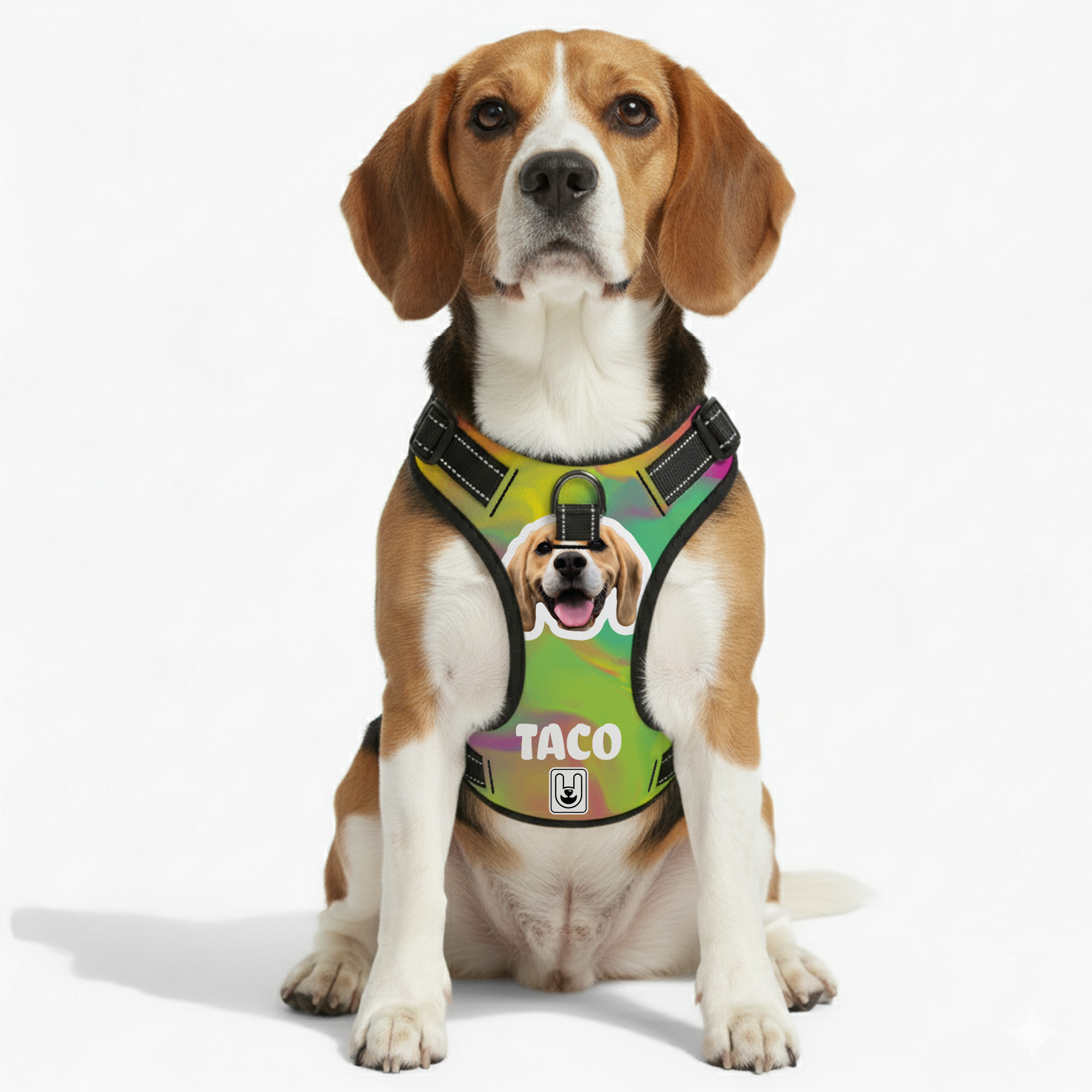 Titania - Custom Dog harness