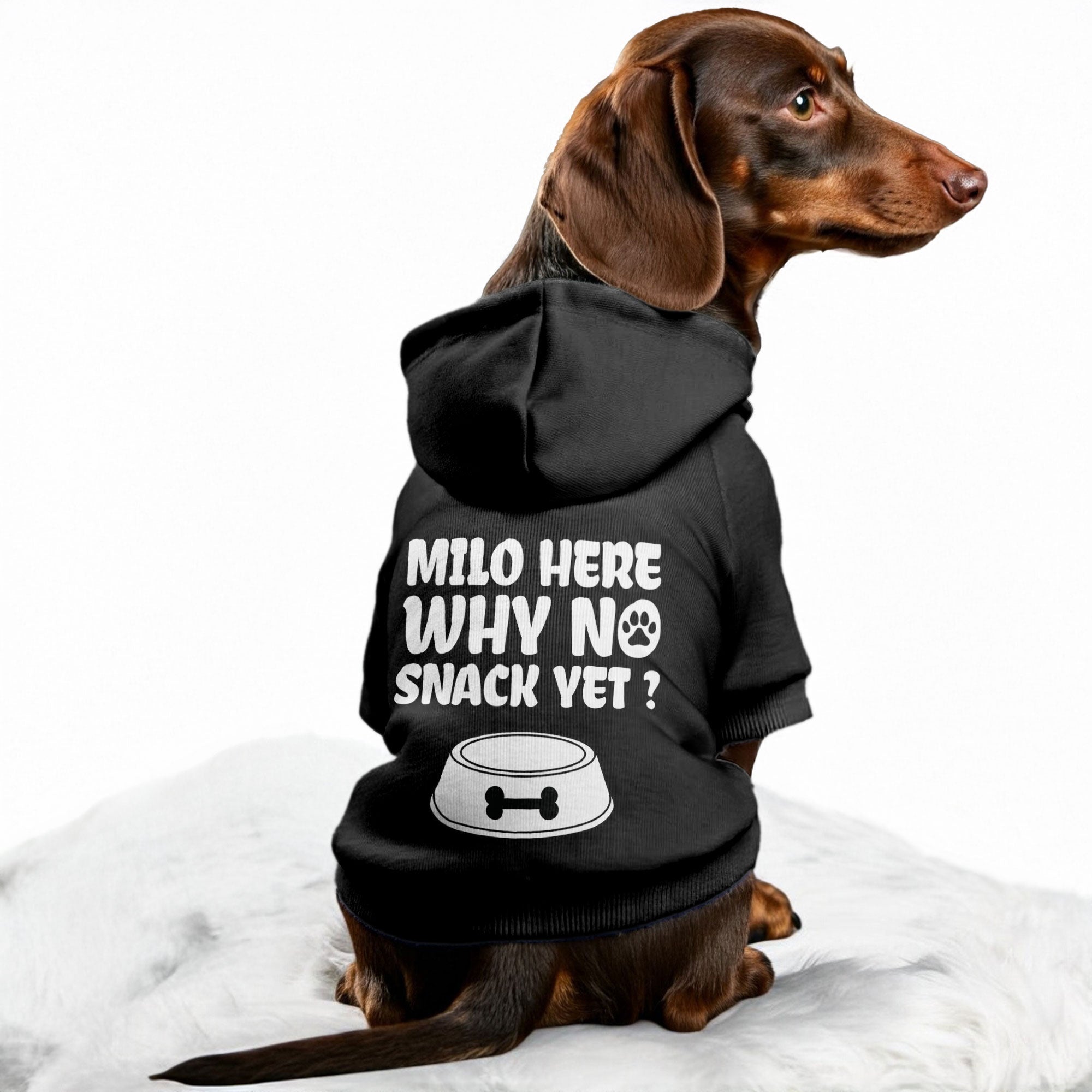 Milo  here... why no snack yet ? - personalized hoodie with your dog name – dog hoodie – dog clothes
