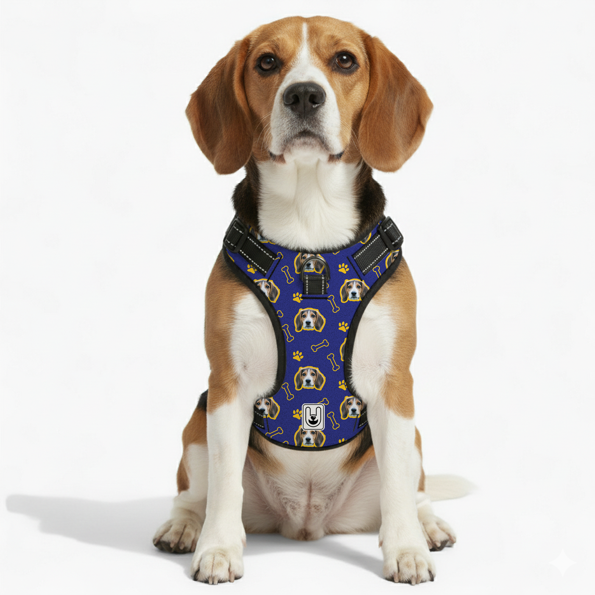Comet - Custom Dog harness