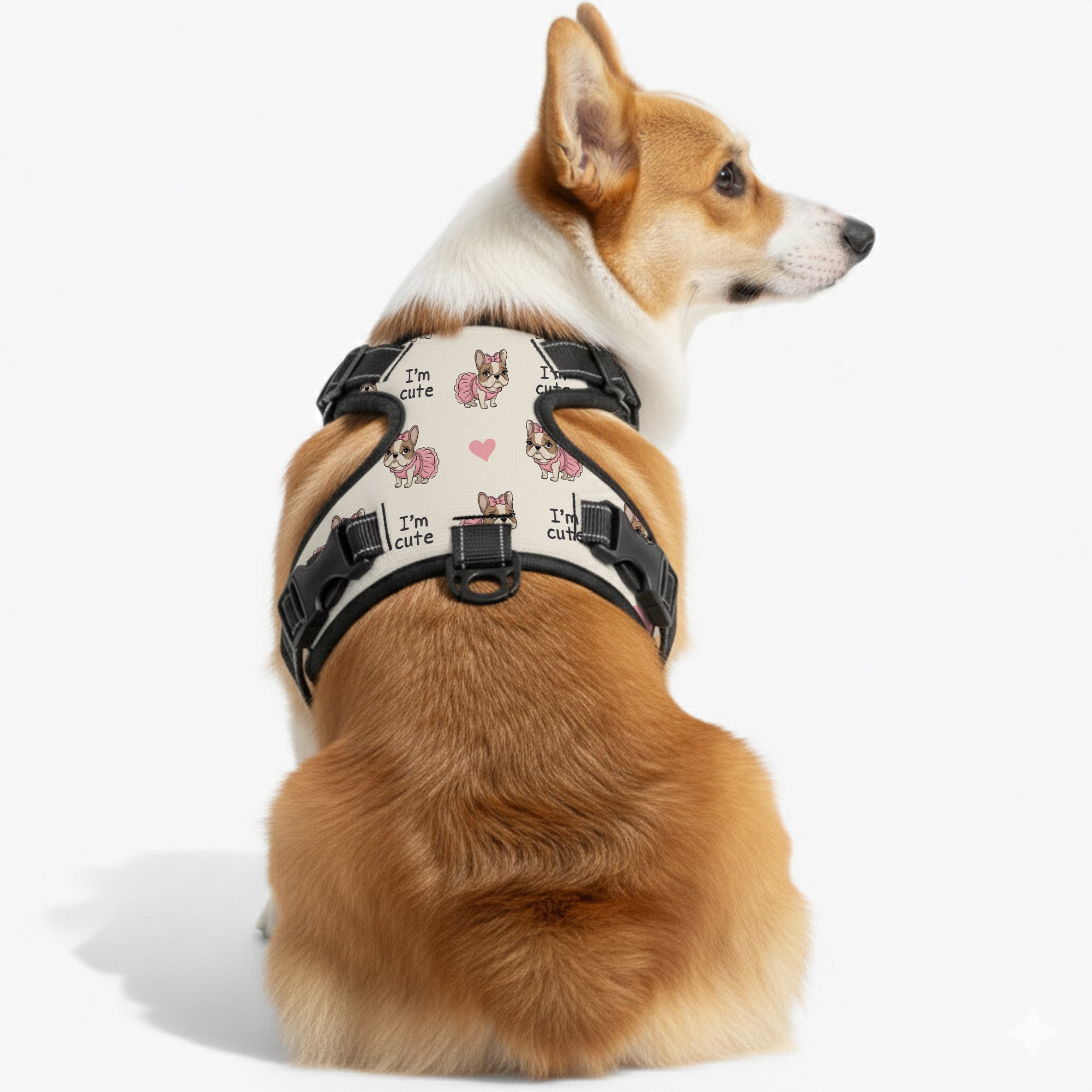 Rocky - NO-PULL Dog Harness & Leash Set | for small and large Dogs