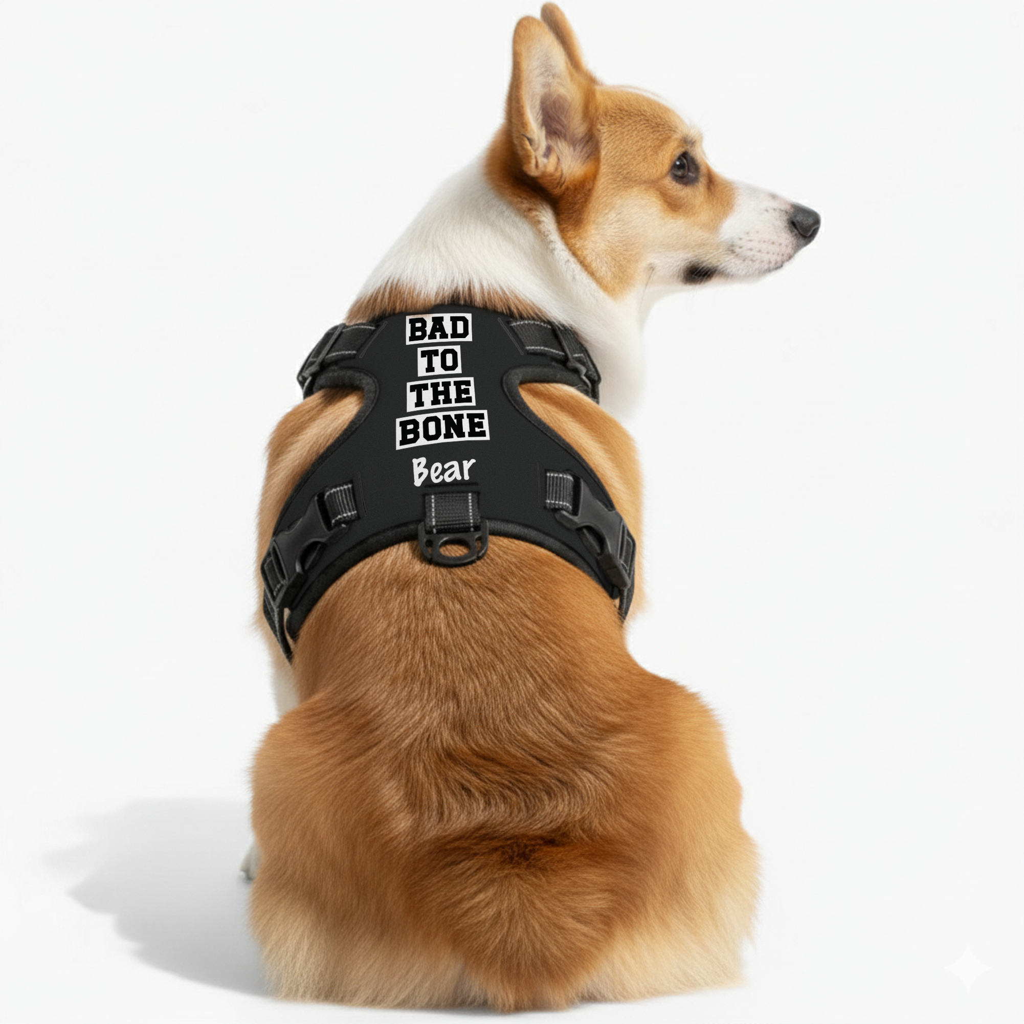 Prada - Custom Dog harness