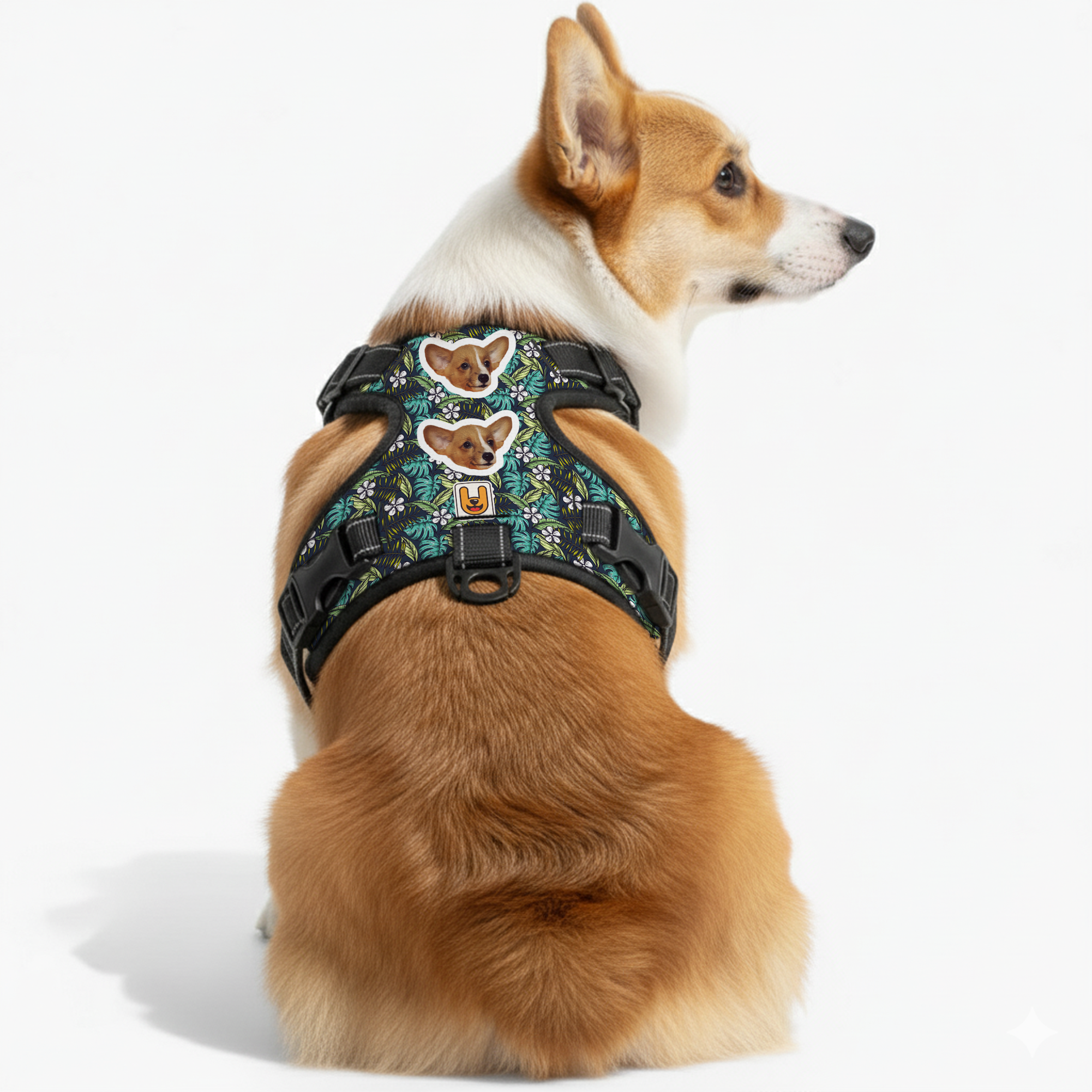 Kona - Custom Dog harness