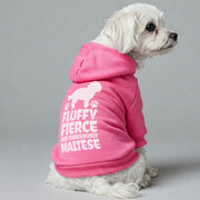 Maltese dog wearing a 'Fluffy, Fierce & Fabulously Maltese' hoodie