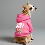 Chihuahua wearing a 'Mom's Baby' hoodie
