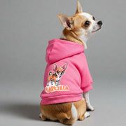 Chihuahua wearing a 'Barkzilla' hoodie