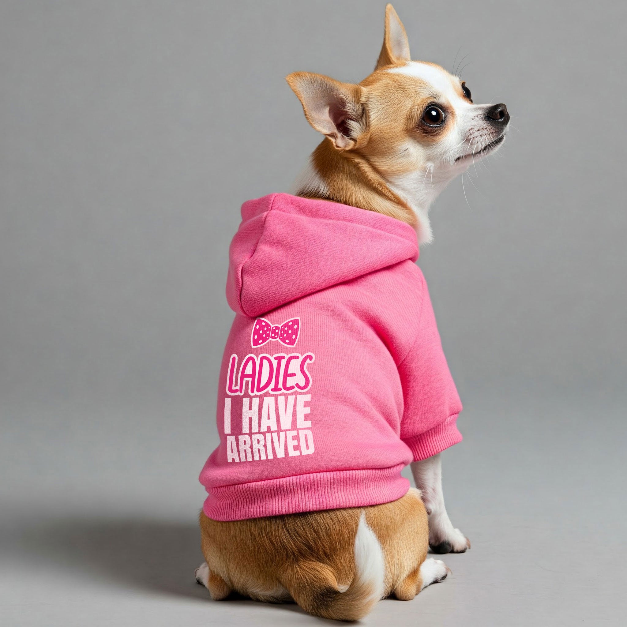 Ladies I HAVE ARRIVED – Dog Hoodie – Dog Clothes