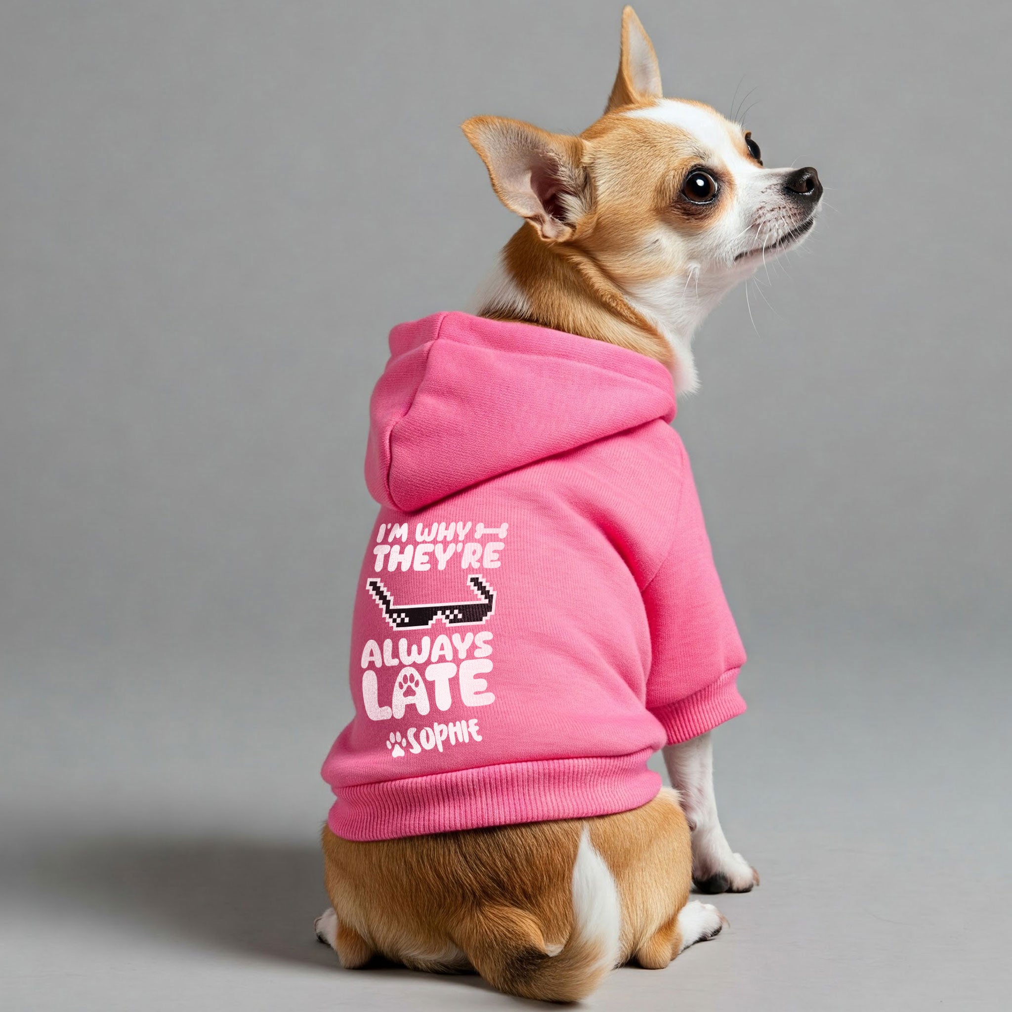 I’m Why They’re Always Late - personalized hoodie with your dog name – dog hoodie – dog clothes