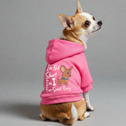 Chihuahua wearing a 'Fun-Sized Fury' hoodie