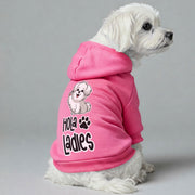 Maltese dog wearing a 'Hola Ladies' hoodie