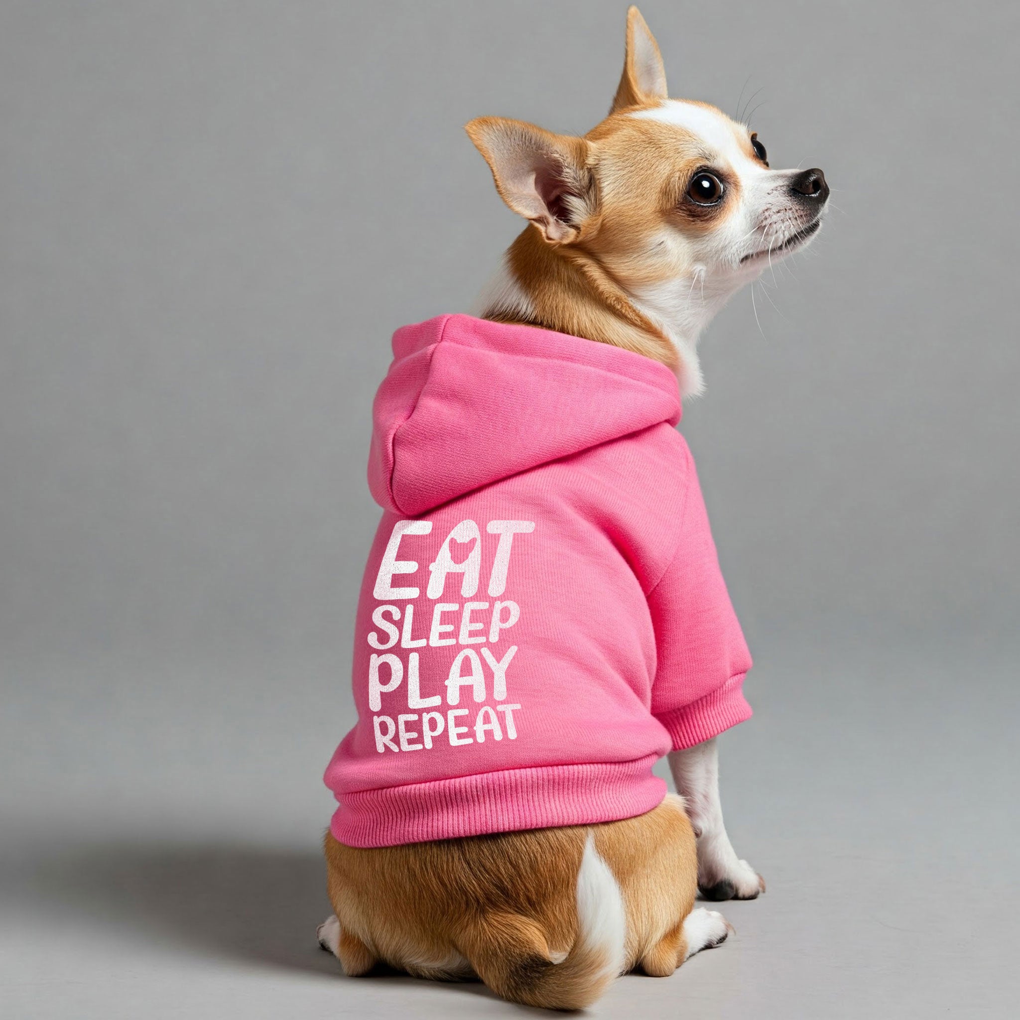 EAT, SLEEP, PLAY, REPEAT - Chihuahua Dog Hoodie
