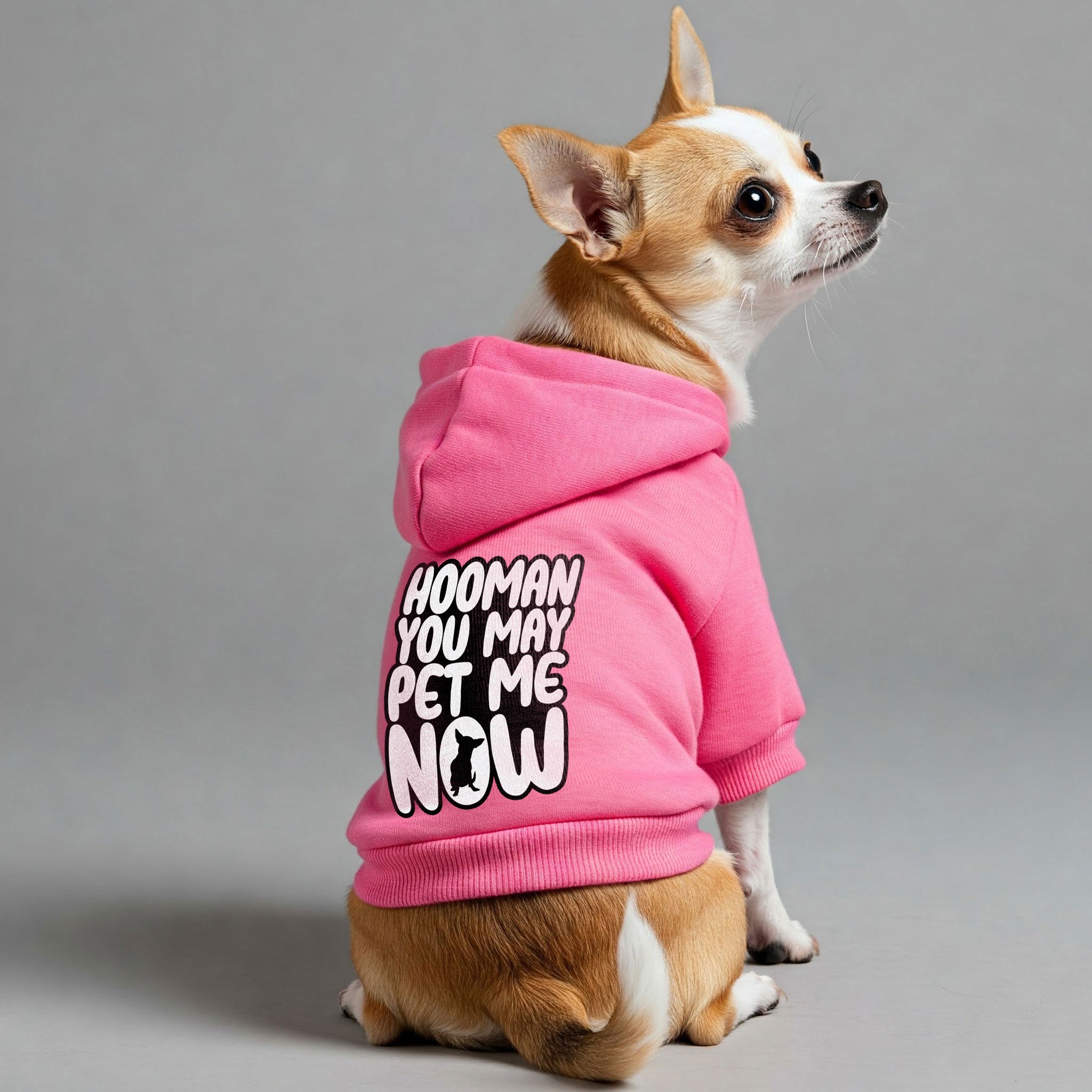 Hooman, you may pet me now - Chihuahua Dog Hoodie