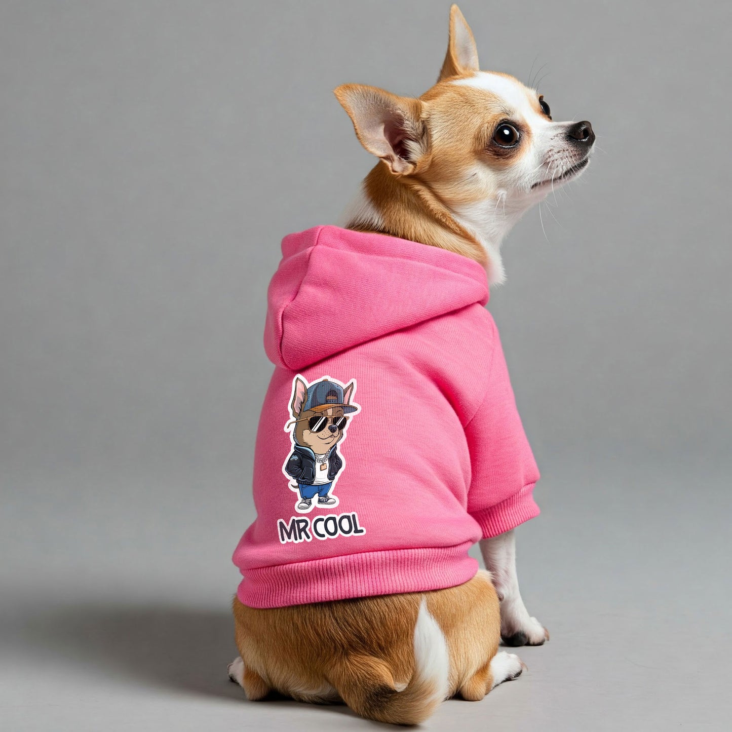 Mr cool - Chihuahua Dog Hoodie