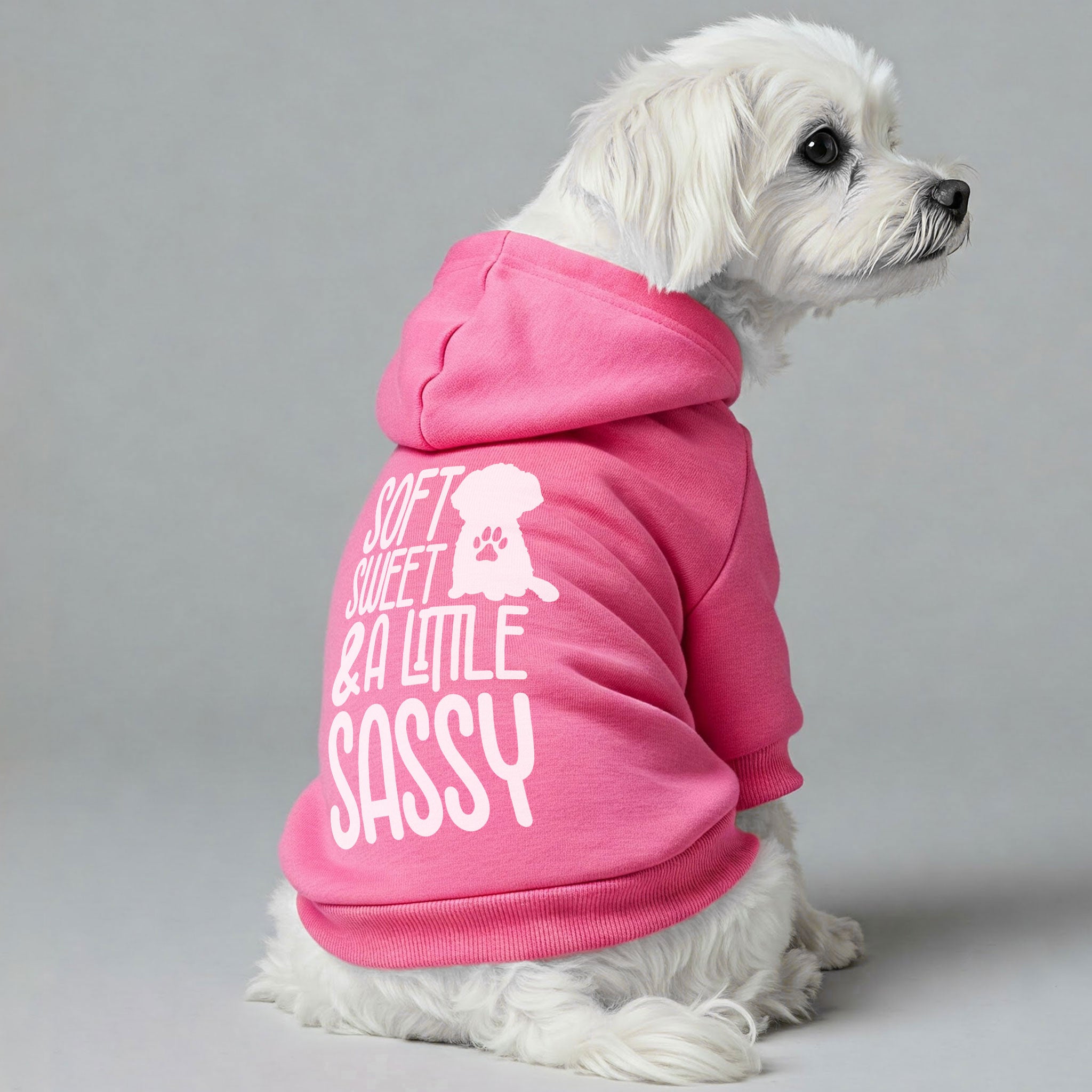 Soft, Sweet & A Little Sassy  - Maltese Dog Hoodie