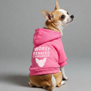 Chihuahua wearing a 'Worst Behaved Chihuahua' hoodie