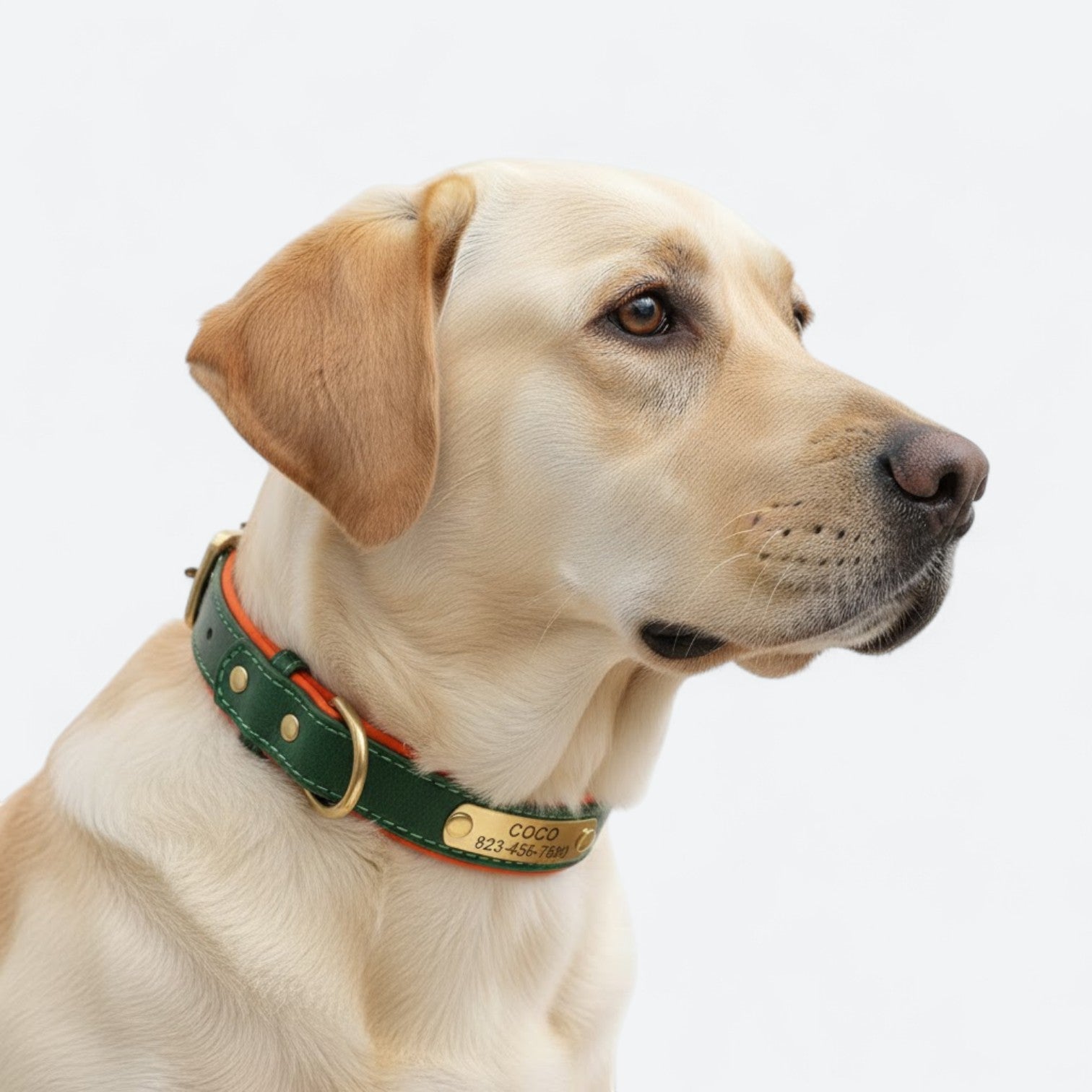 PU-Leather-Dog-Engraved-Collar.jpg