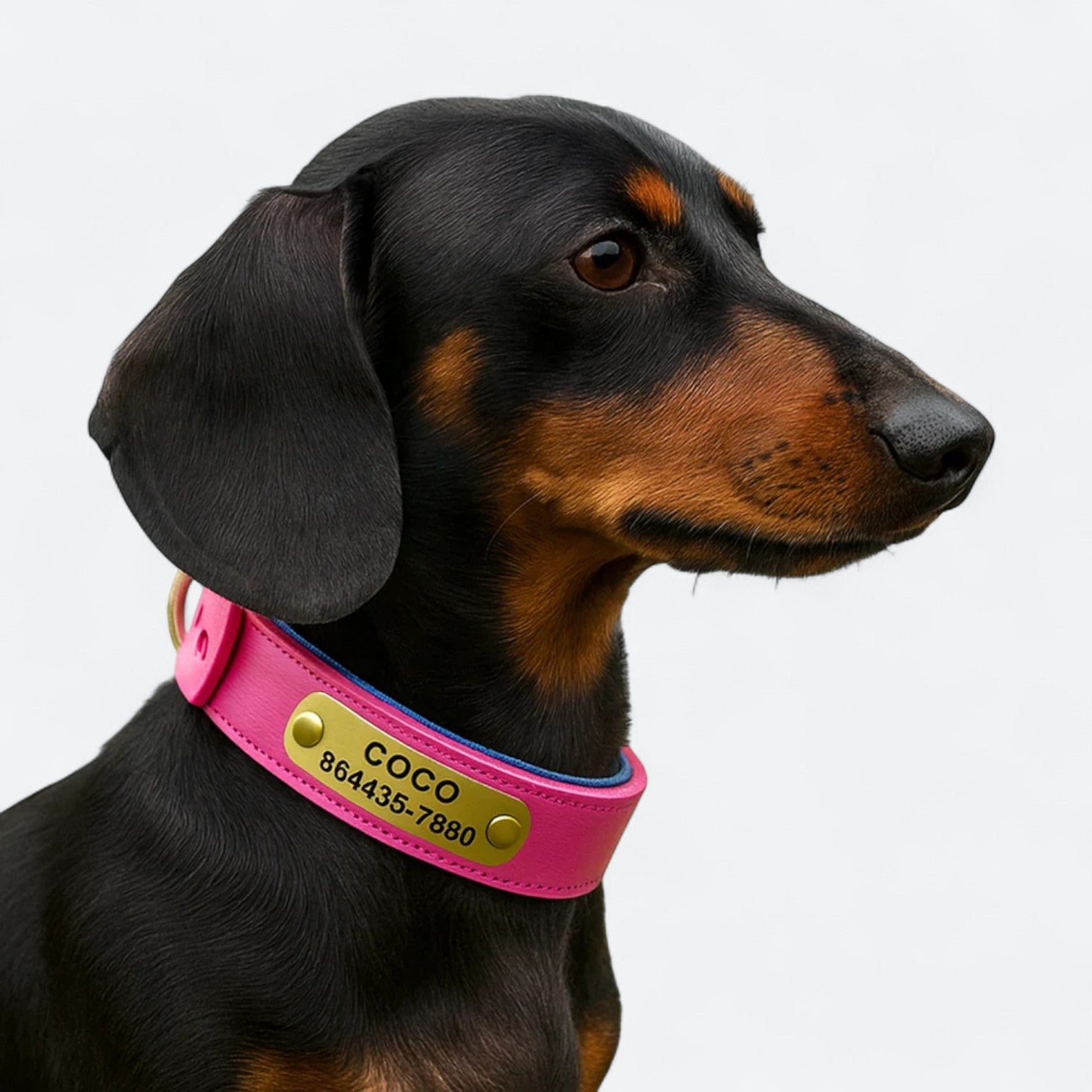 PU-Leather-Dog-Engraved-Collar.jpg