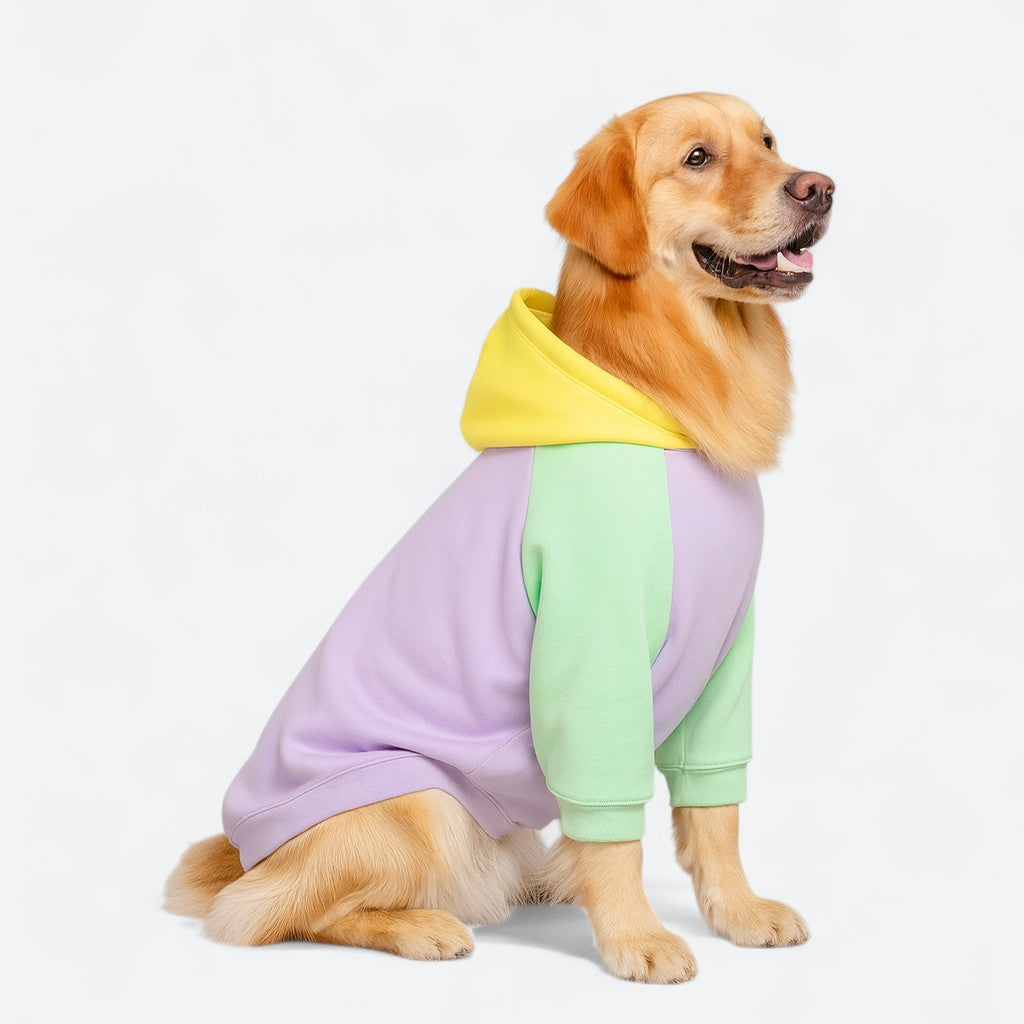 Pastel-Block-Dog-Owner-Matching-Hoodie