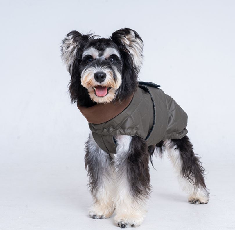 PawVogue-Quilted-Dog-Winter-Jacket.jpg
