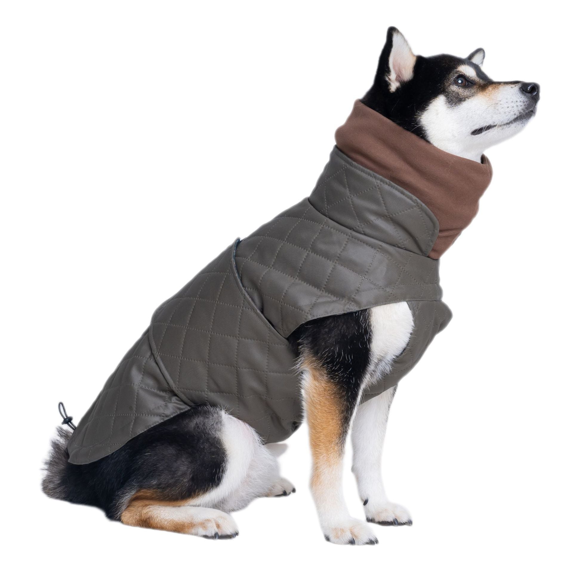 PawVogue-Quilted-Dog-Winter-Jacket.jpg