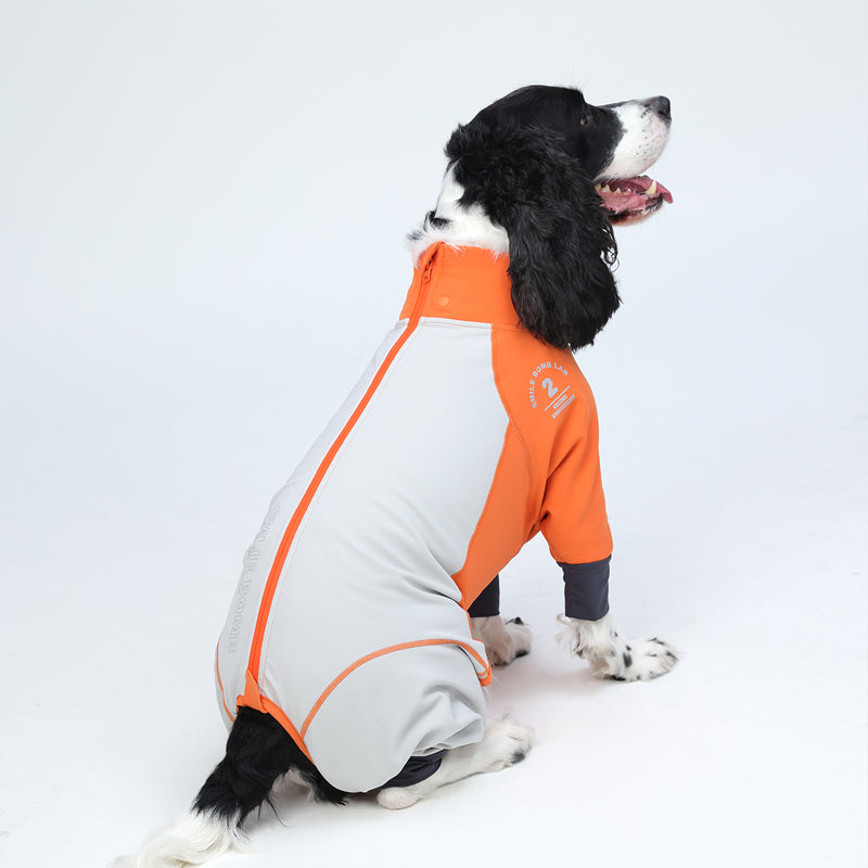 Plus-Velvet-Dog-Ski-Suit.jpg