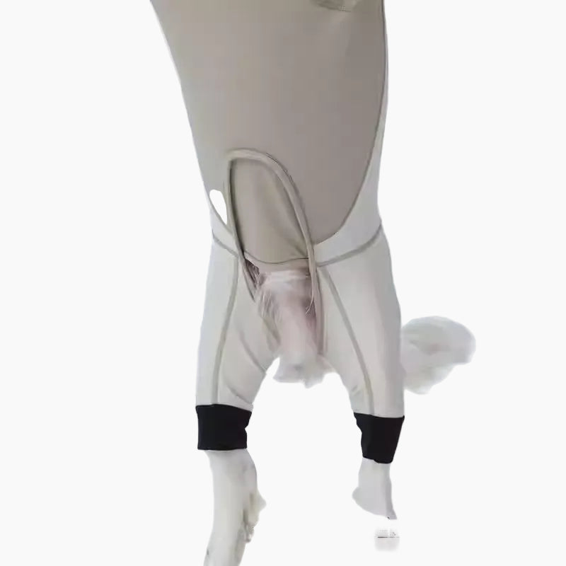 Plus-Velvet-Dog-Ski-Suit.jpg