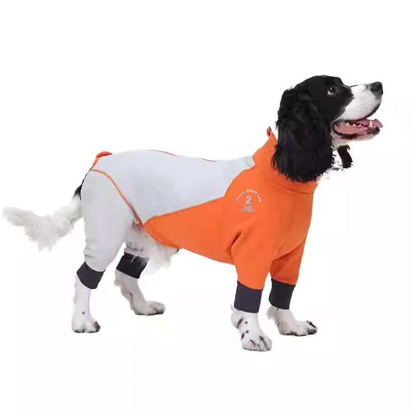 Plus-Velvet-Dog-Ski-Suit.jpg