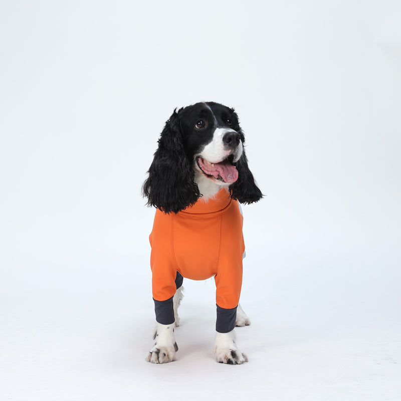 Plus-Velvet-Dog-Ski-Suit.jpg