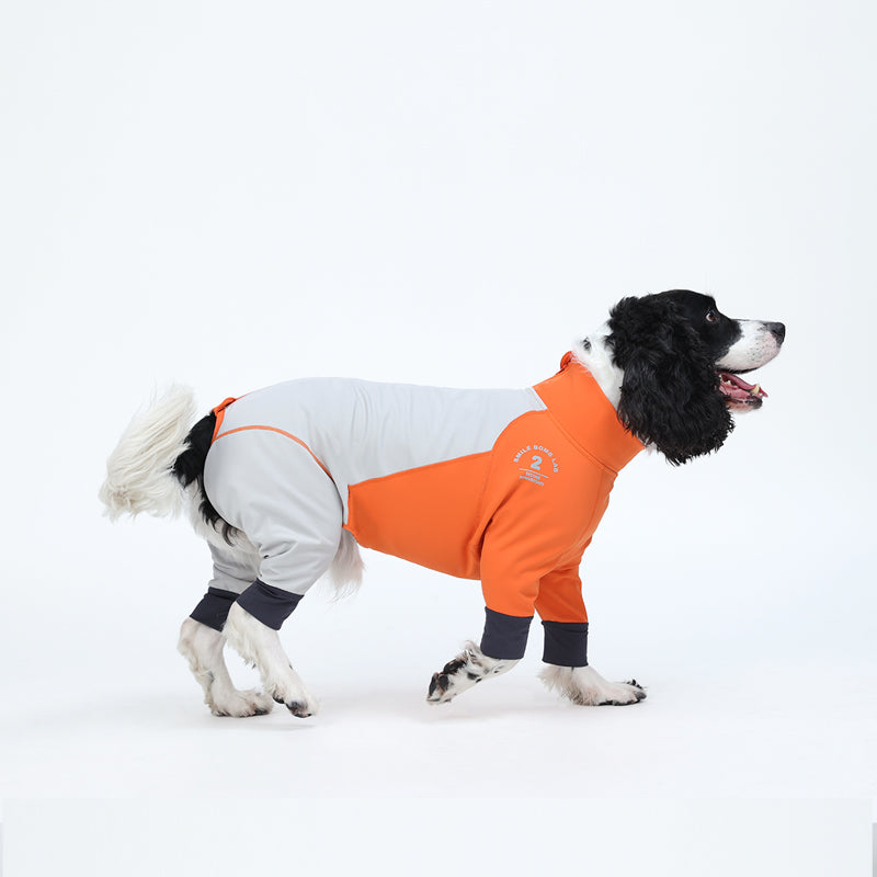 Plus-Velvet-Dog-Ski-Suit.jpg