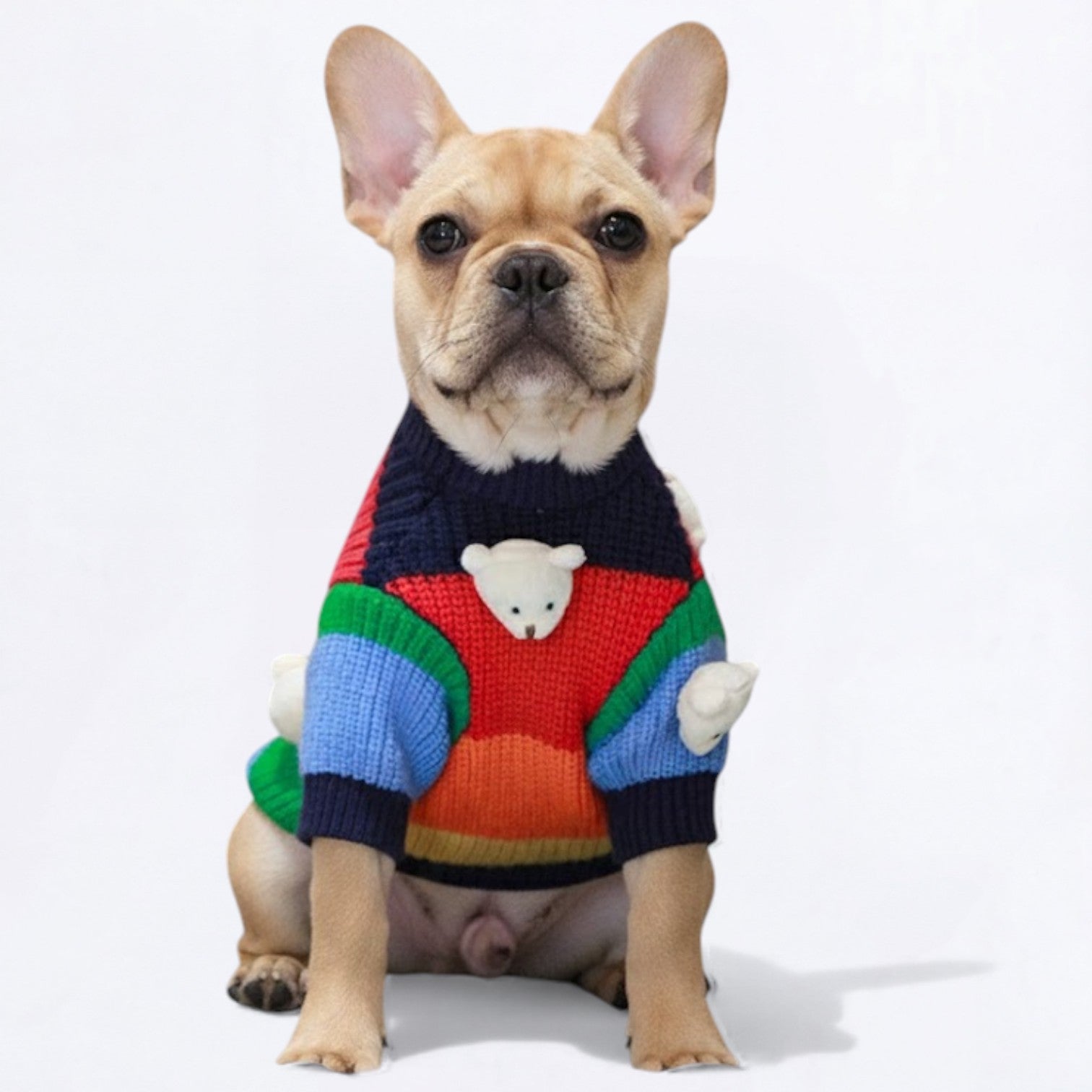 Plush-Bears-Warm-Dog-Sweater.jpg