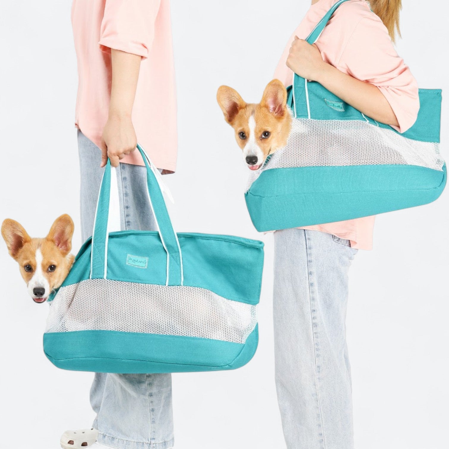 Portable-Mesh-Ventilation-Dog-Carrier.jpg