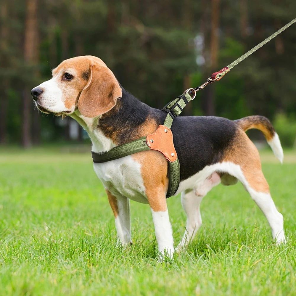 Premium Dog Harness Leash Set