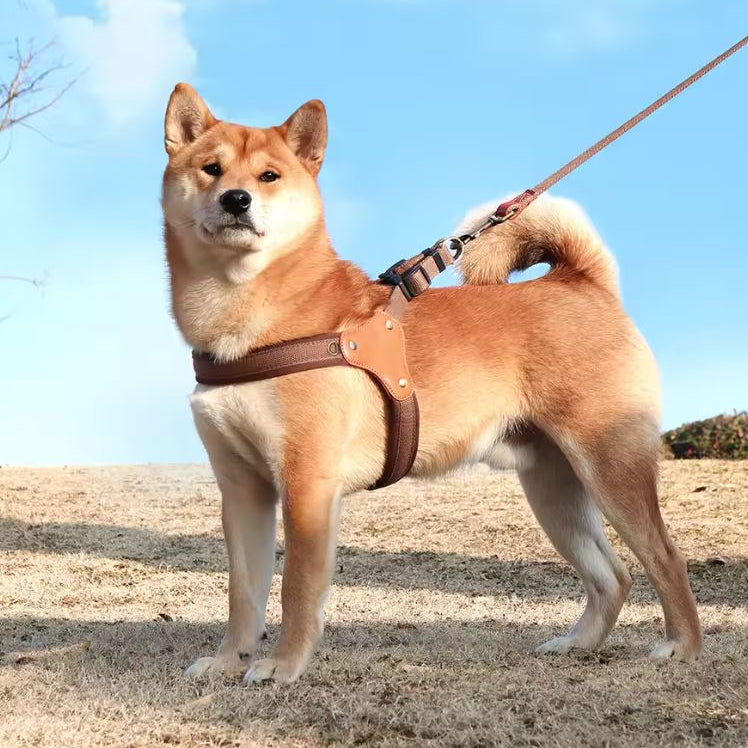 Premium Dog Harness Leash Set