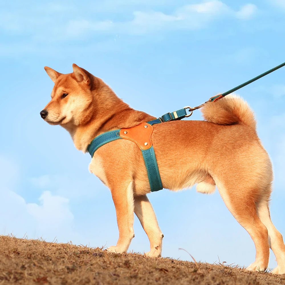 Premium Dog Harness Leash Set