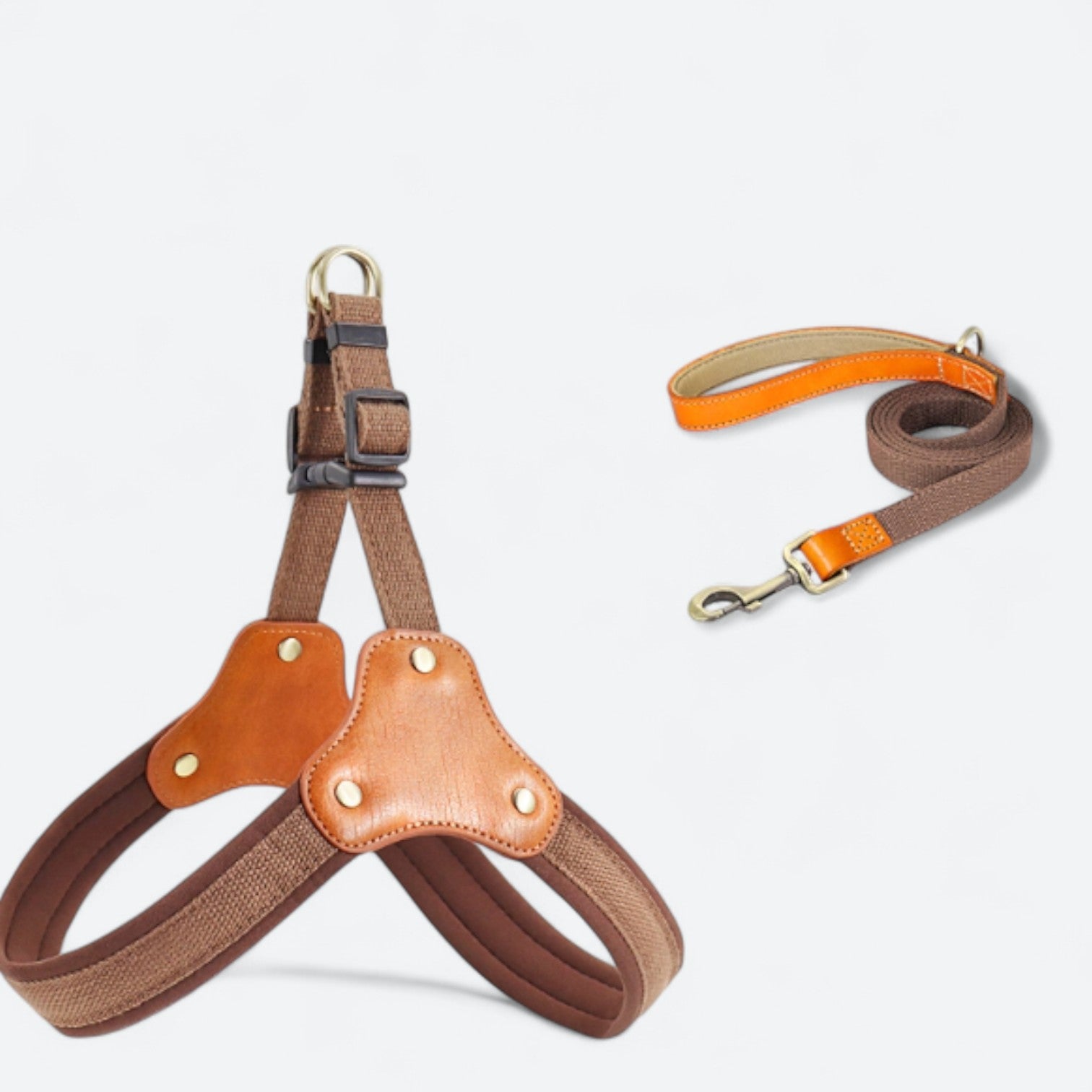 Premium-Dog-Harness-Leash-Set.jpg