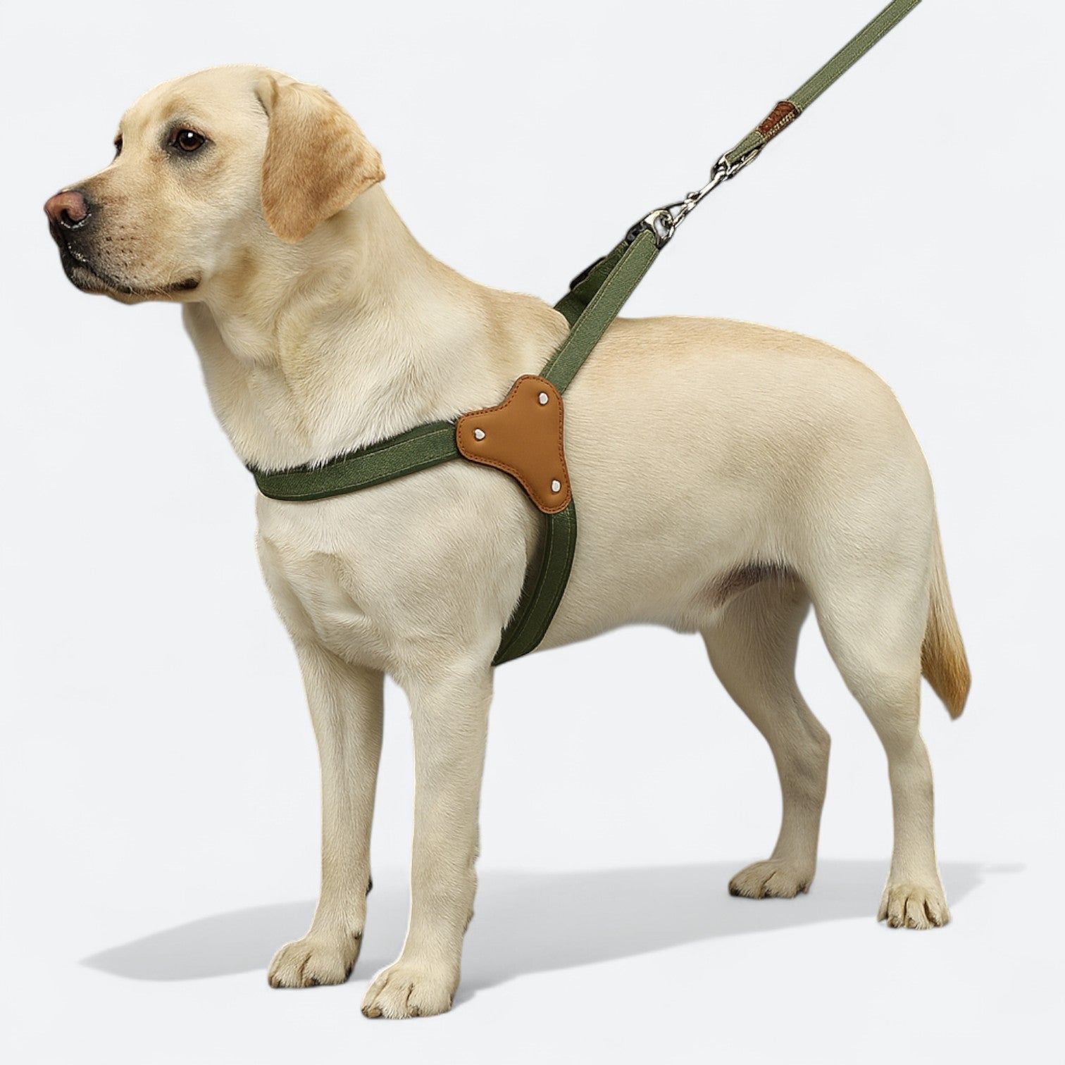 Premium-Dog-Harness-Leash-Set.jpg