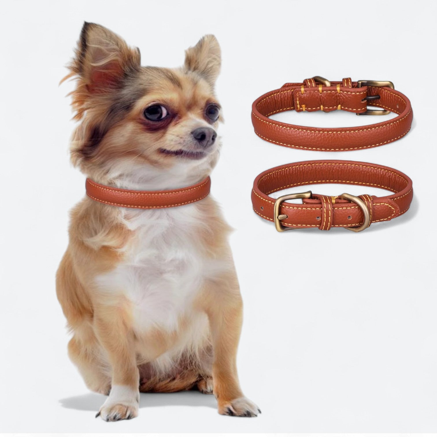 Premium-Grain-Leather-Dog-Collar.jpg
