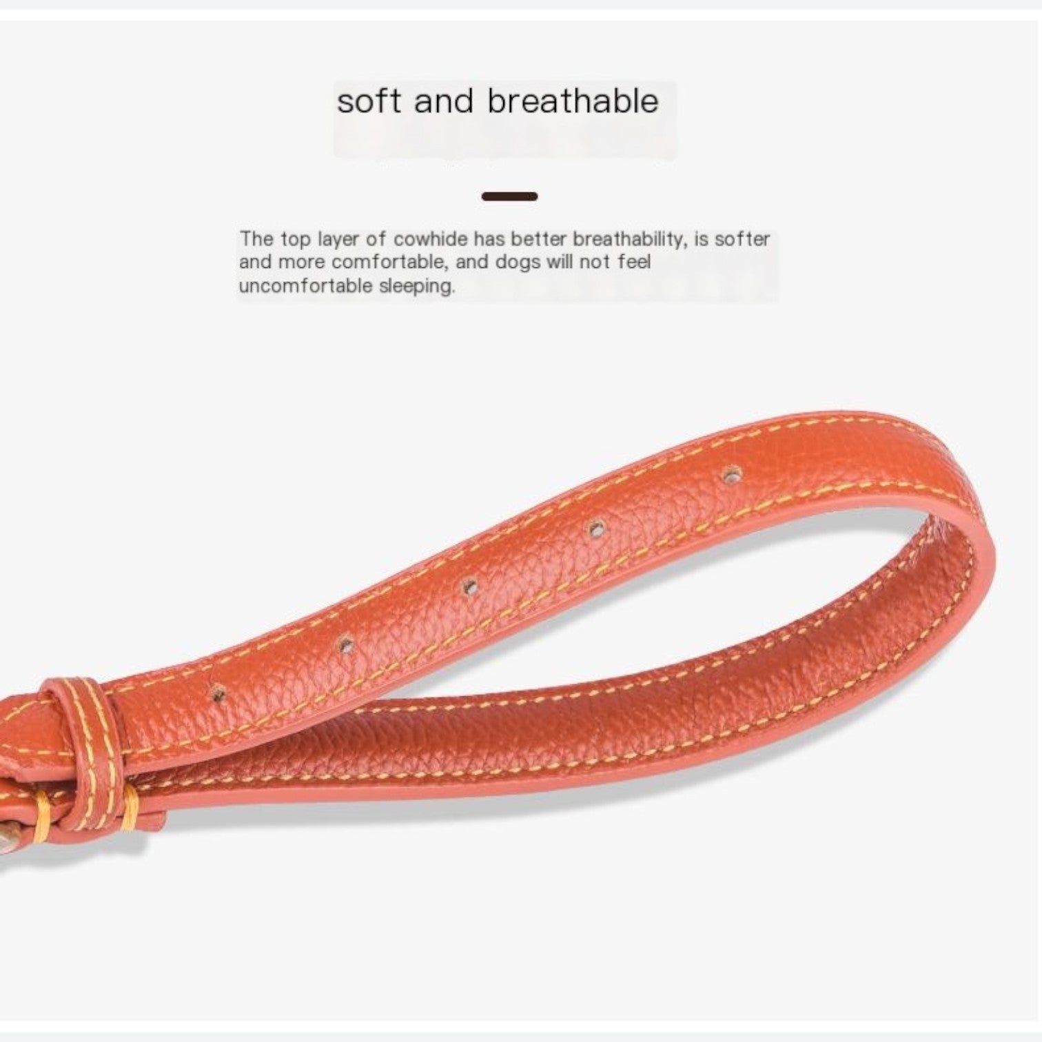 Premium-Grain-Leather-Dog-Collar.jpg