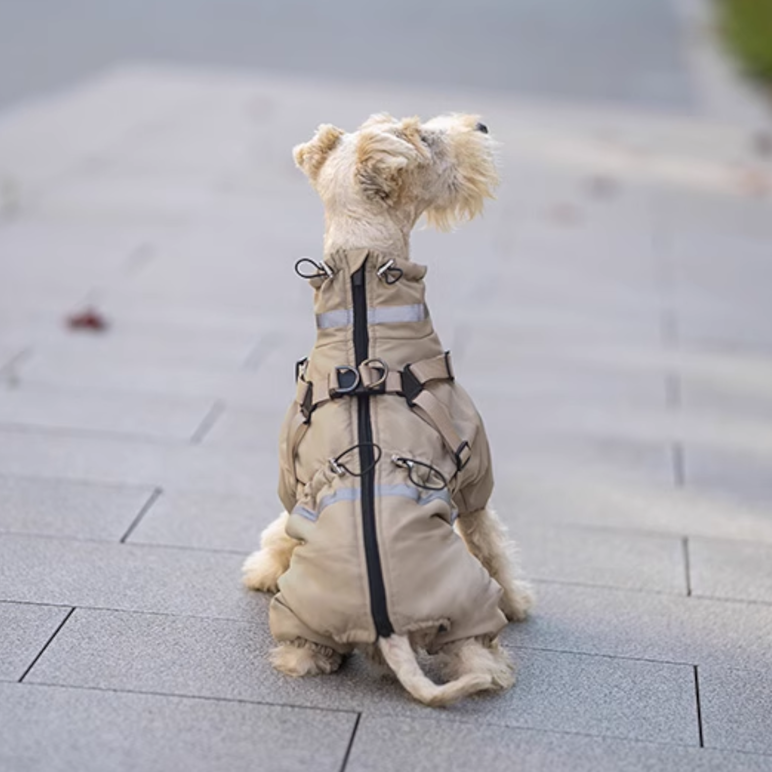 Premium-Reflective-Dog-Down-Jacket.jpg