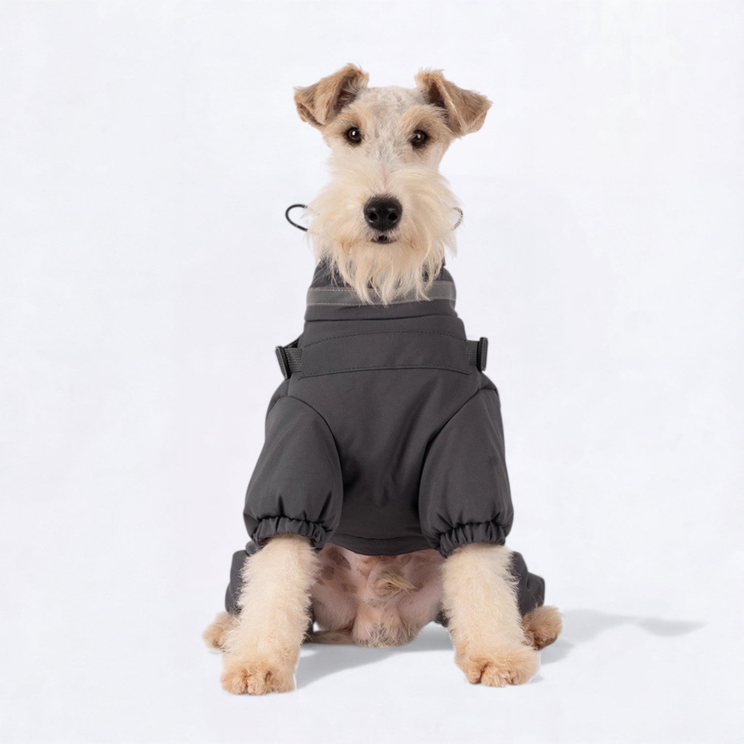 Premium-Reflective-Dog-Down-Jacket.jpg