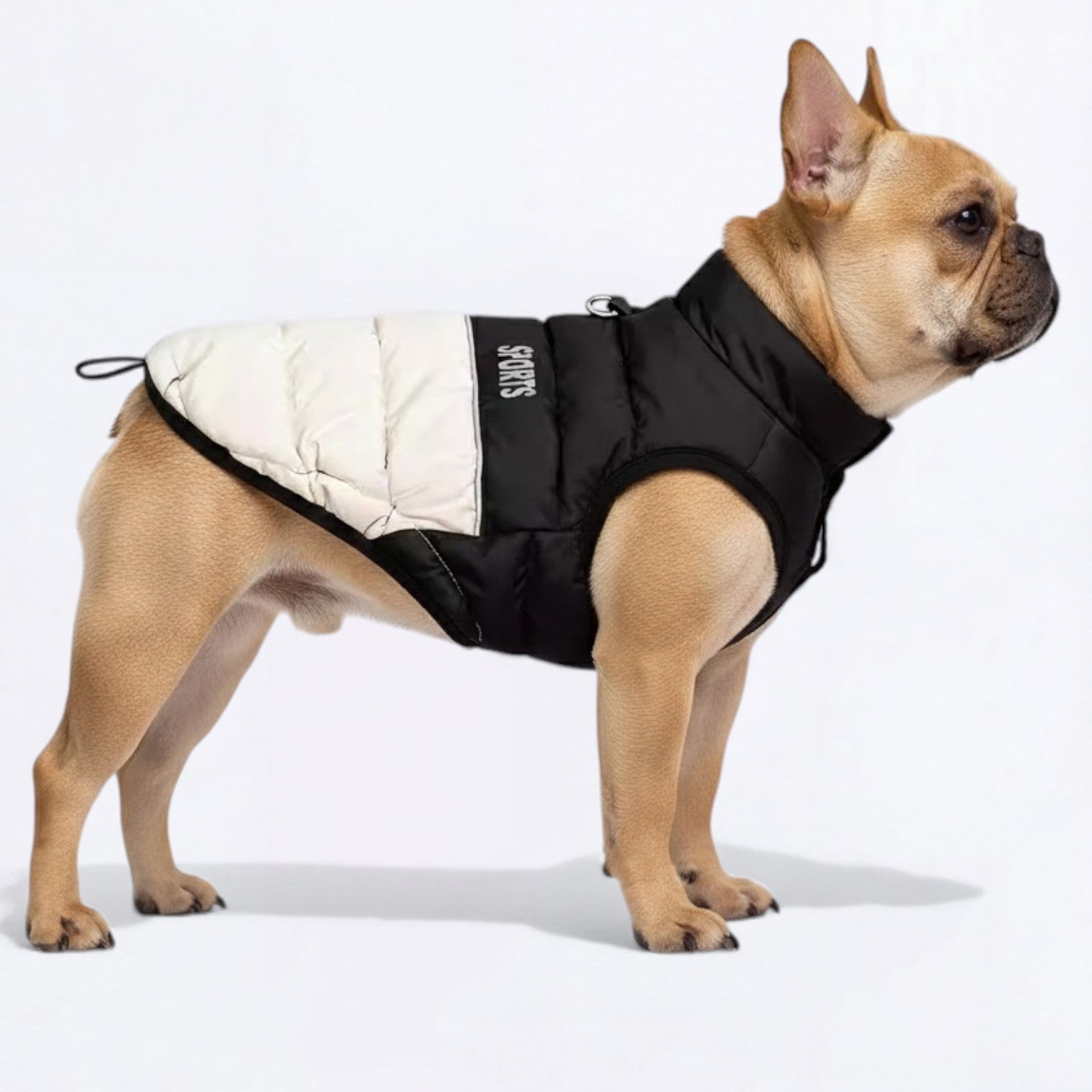 Premium-Winter-Sports-Dog-Vest.jpg