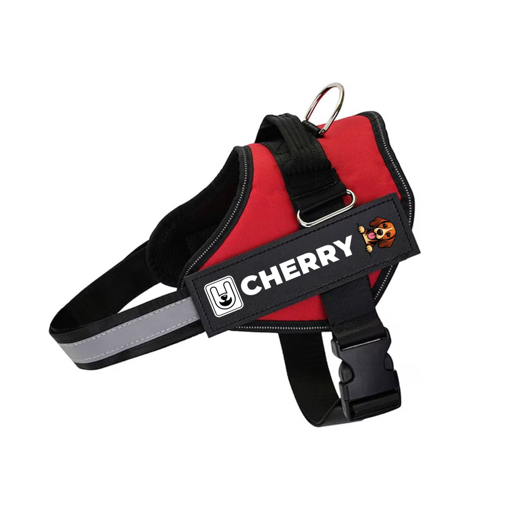 Thad - Personalized Dog Harness