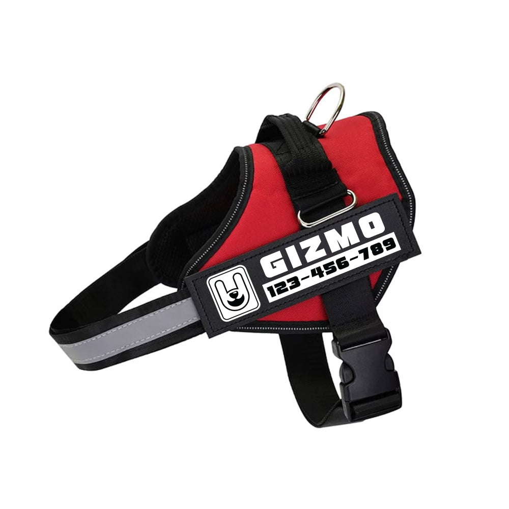 Apollo - Personalized Dog Harness