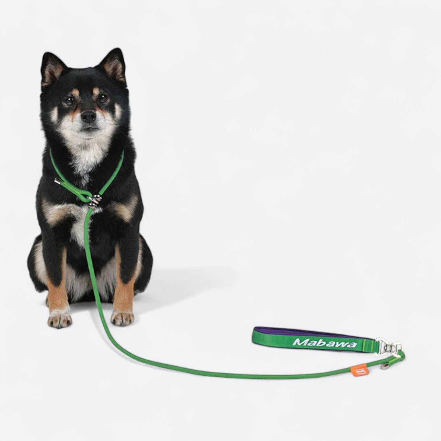 Professional-P-Rope-Dog-Leash.jpg