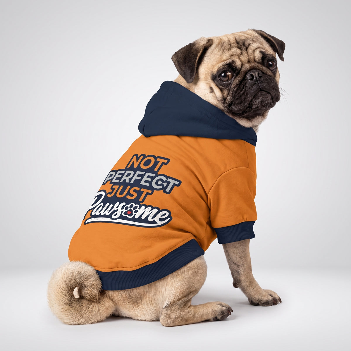 Not Perfect Just Pawsome Matching Dog Hoodie for Small and Big Dogs